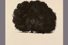 Monotype - Grand chêne - Gérard Jan