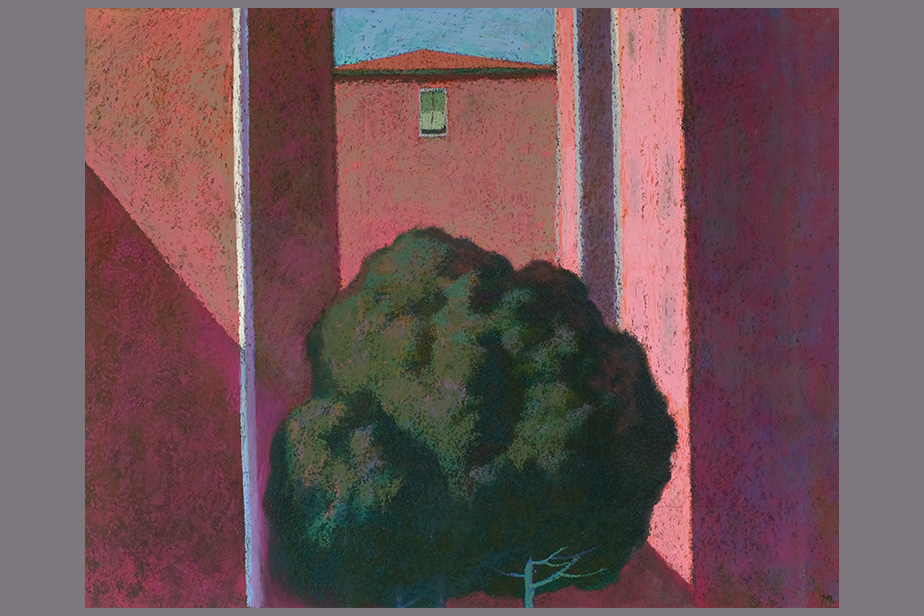 Pastel - Façade, arbre - Gerard Jan