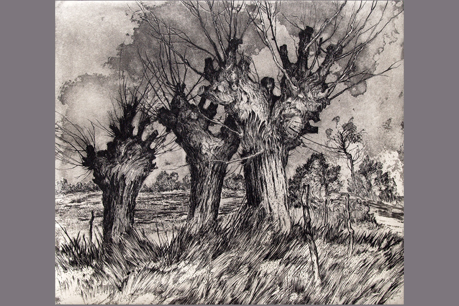 Gravure - Trois arbres - Gerard Jan