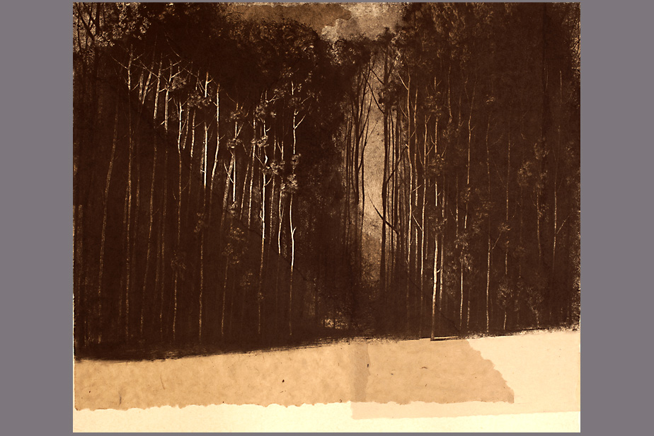 Monotype - Sous-bois - Gerard Jan