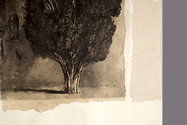 Monotype - Arbre - Gérard Jan