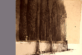 Monotype - Mur d'enceinte - Gérard Jan