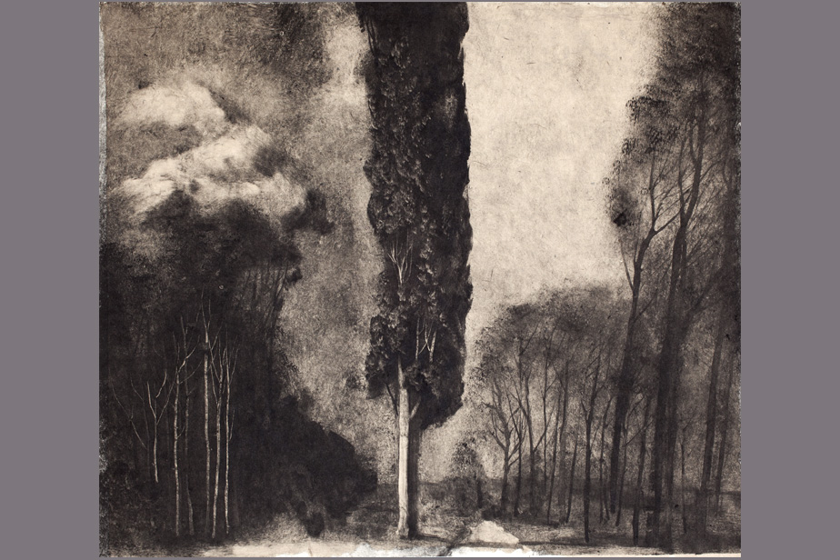 Monotype - Cyprés dans la forêt - Gerard Jan