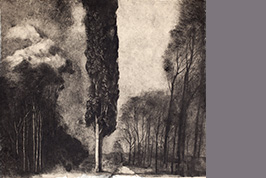 Monotype - Cyprés dans la forêt - Gérard Jan