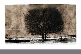 Monotype - Arbre - Gérard Jan