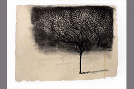 Monotype - Arbre en fleur - Gérard Jan