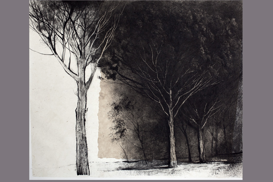 Monotype - Pins vers Argens - Gerard Jan