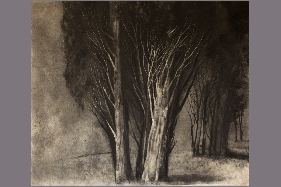 Monotype - Cyprés sombres - Gerard Jan