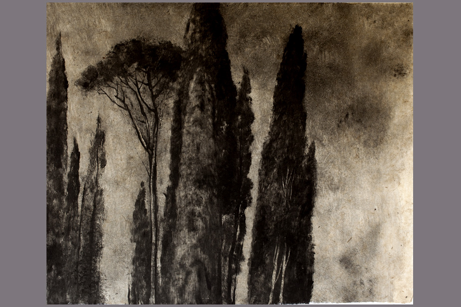 Monotype - Cyprés et pins, Villa d'Este - Gerard Jan
