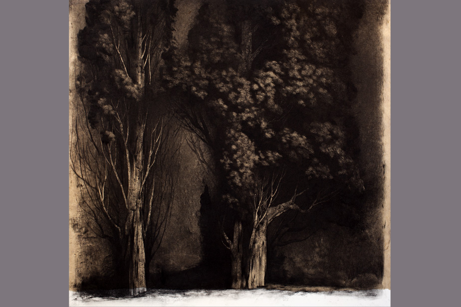 Monotype - Arbres, Villa d'Este - Gerard Jan