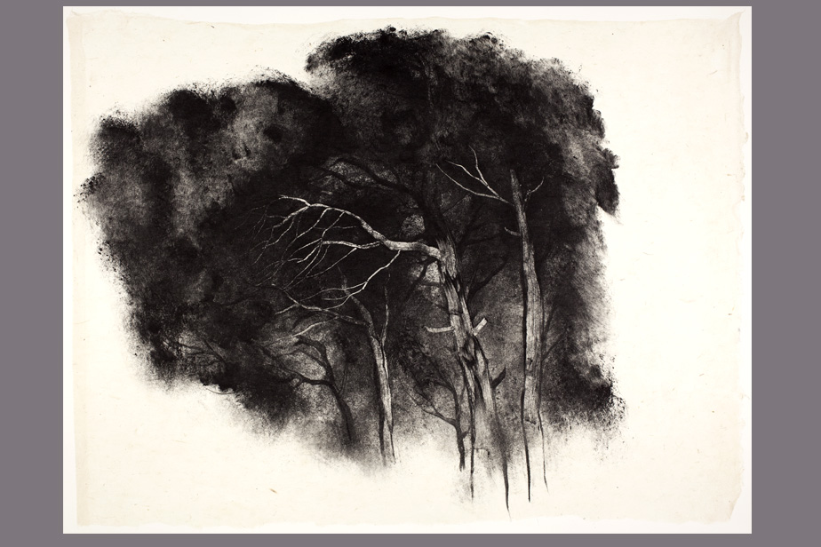 Monotype - Arbres, étude - Gerard Jan