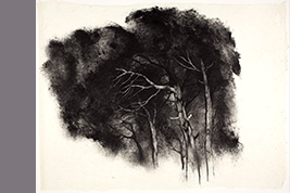 Monotype - Arbres, étude - Gérard Jan