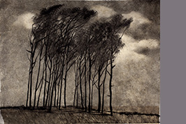 Monotype - Arbres dans le vent - Gérard Jan