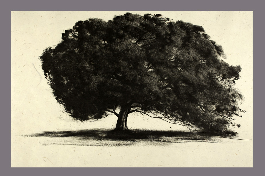 Monotype - Arbre, étude - Gerard Jan