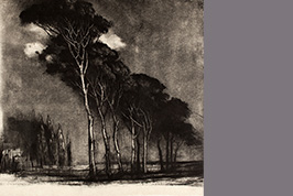 Monotype - Allée de pins, Sallèle - Gérard Jan