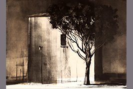 Monotype - Façade et arbre, la Livinière - Gérard Jan