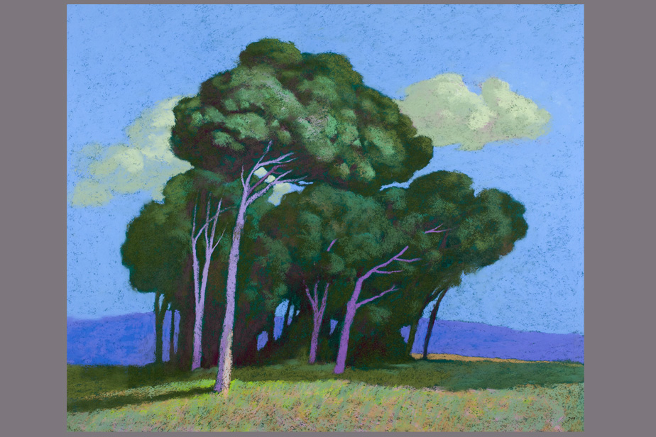 Pastel - Grands pins dans la plaine - Gerard Jan