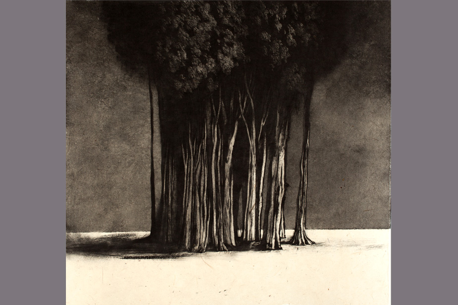 Monotype - Arbre exotique à Palerme - Gerard Jan