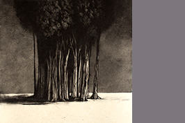 Monotype - Arbre exotique à Palerme - Gérard Jan