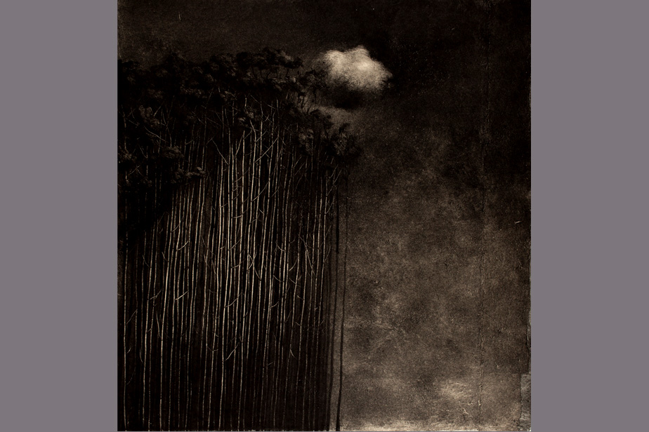 Monotype - Grande forêt et nuage - Gerard Jan