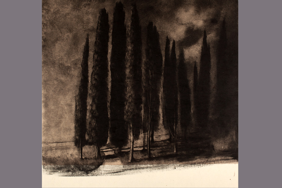 Monotype - Cyprès le soir - Gerard Jan