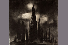 Monotype - Cyprès, serre d'Oupia - Gérard Jan