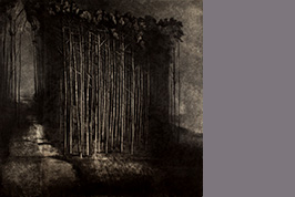 Monotype - Chemin dans la forêt - Gérard Jan