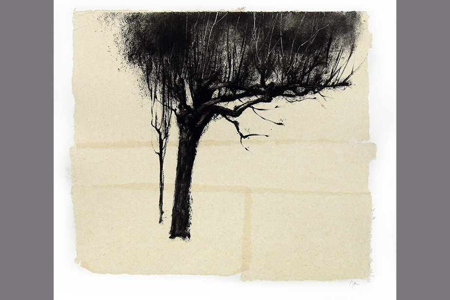 Monotype - Arbre - Gerard Jan