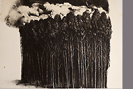 Monotype - Nuages sur la forêt d'hiver - Gérard Jan