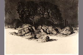 Monotype - Cyprès, serre d'Oupia - Gérard Jan